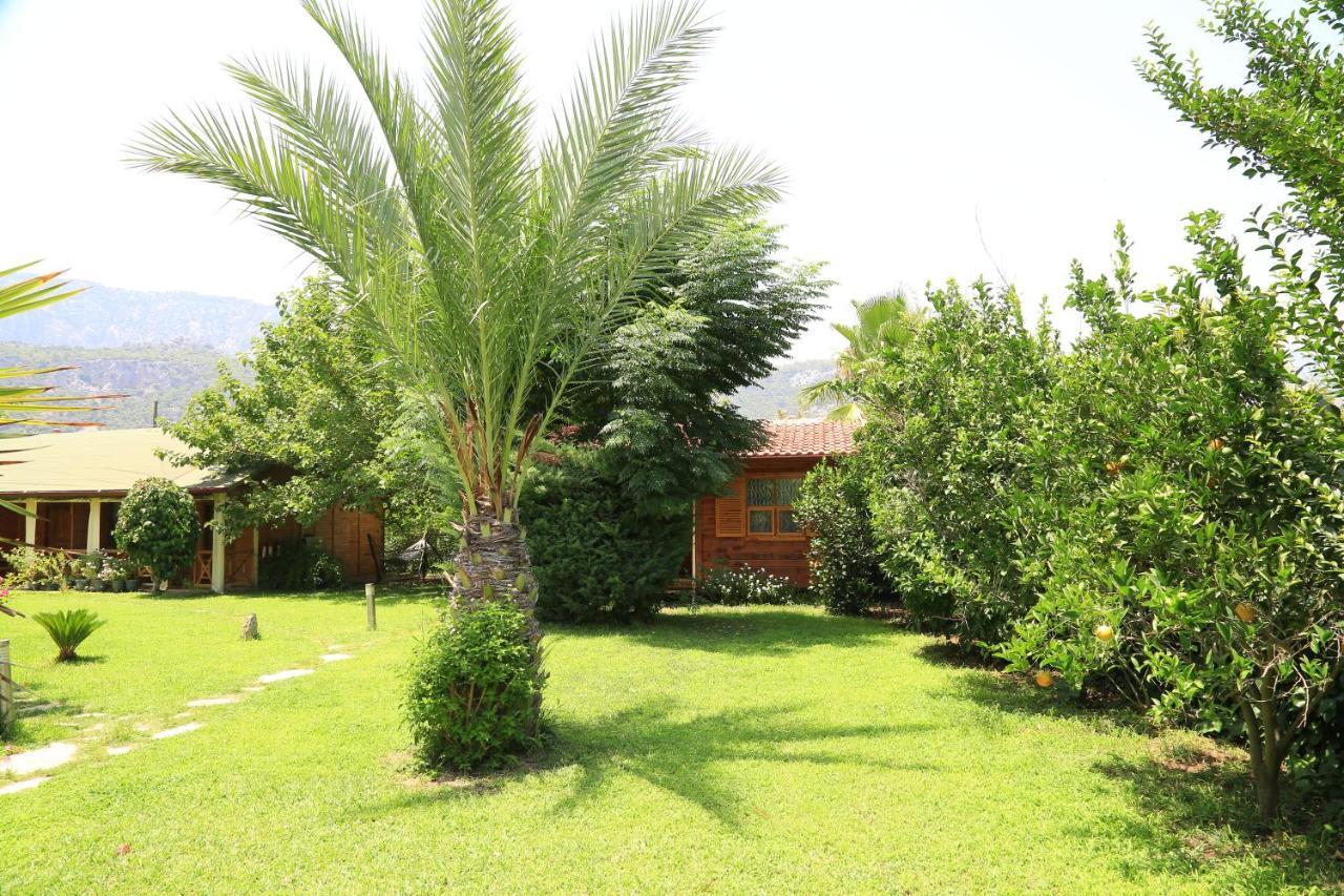 Tunays Pansiyon Bed & Breakfast Çıralı Dış mekan fotoğraf