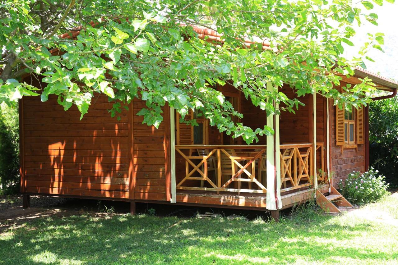 Tunays Pansiyon Bed & Breakfast Çıralı Oda fotoğraf