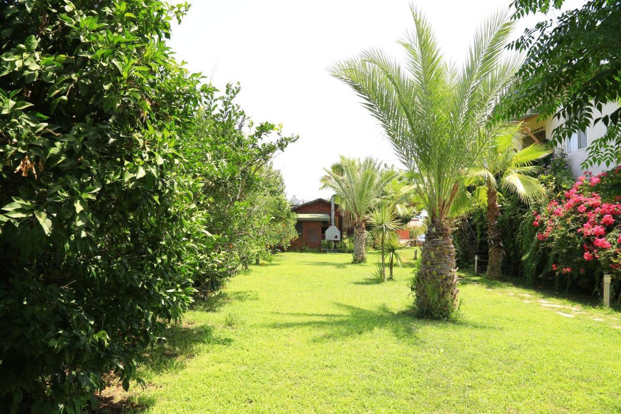 Tunays Pansiyon Bed & Breakfast Çıralı Oda fotoğraf