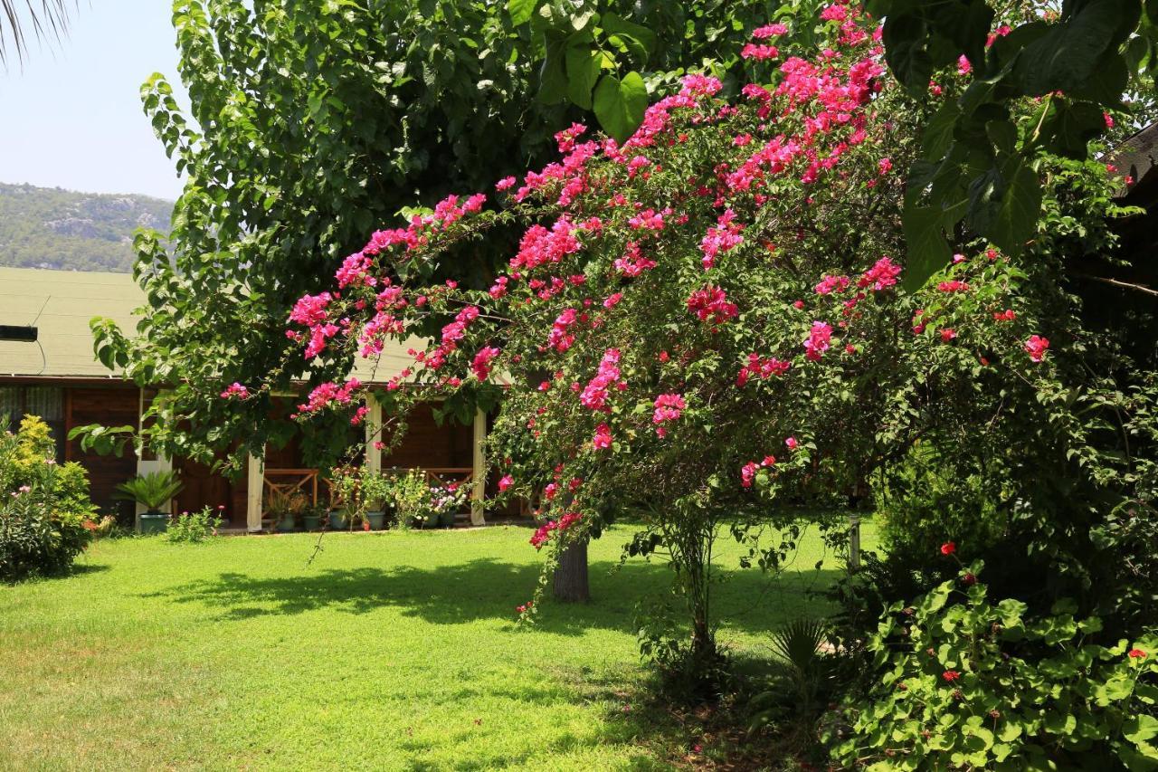 Tunays Pansiyon Bed & Breakfast Çıralı Dış mekan fotoğraf
