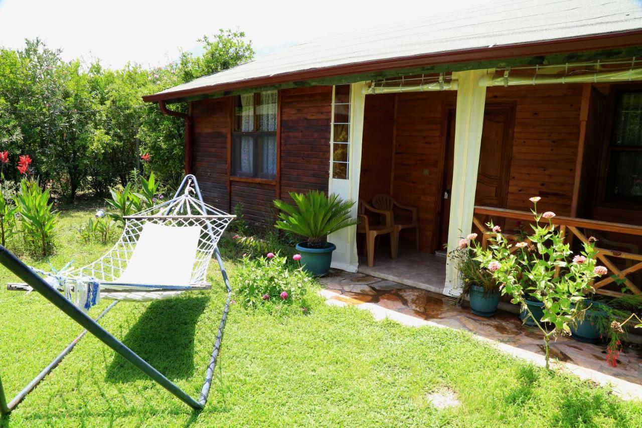Tunays Pansiyon Bed & Breakfast Çıralı Oda fotoğraf