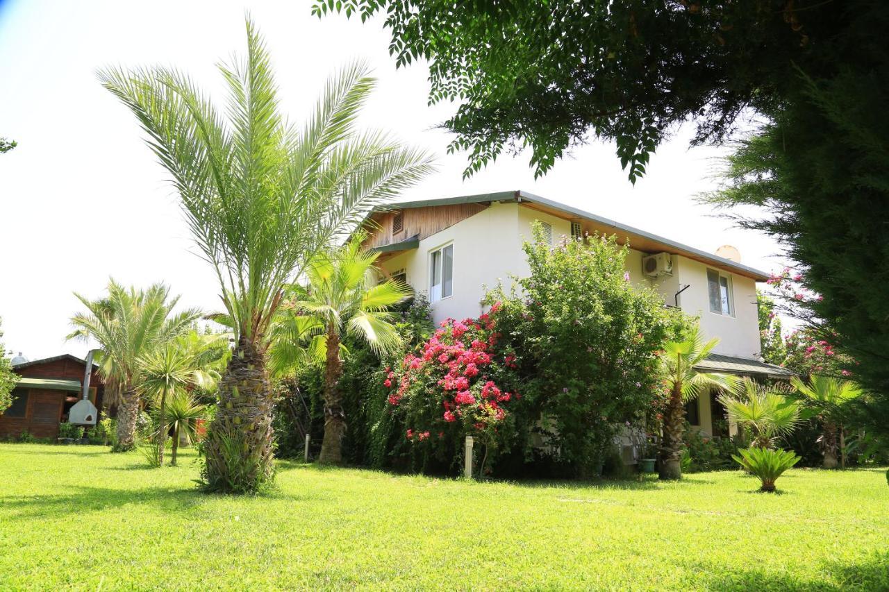 Tunays Pansiyon Bed & Breakfast Çıralı Oda fotoğraf