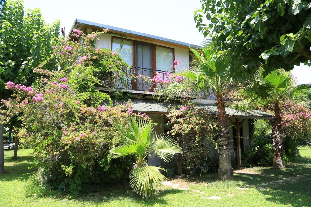 Tunays Pansiyon Bed & Breakfast Çıralı Dış mekan fotoğraf