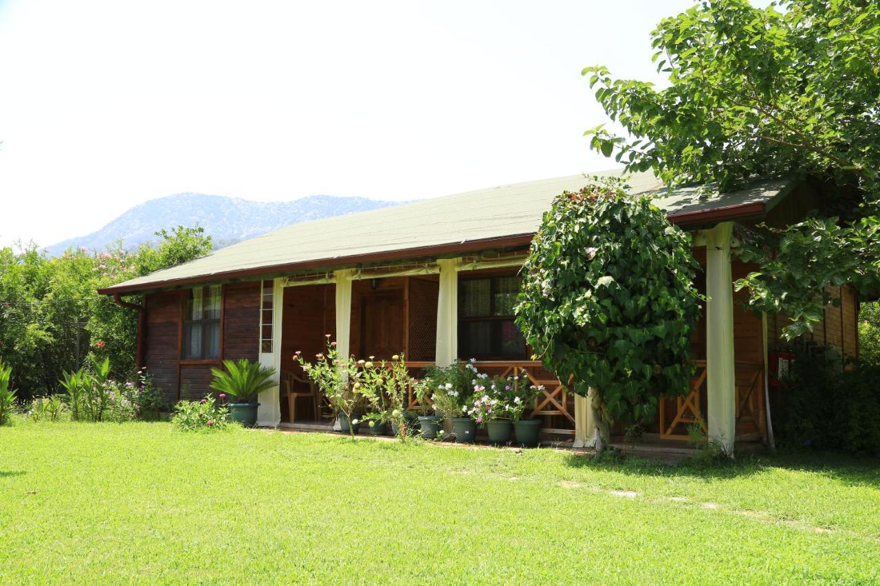 Tunays Pansiyon Bed & Breakfast Çıralı Oda fotoğraf